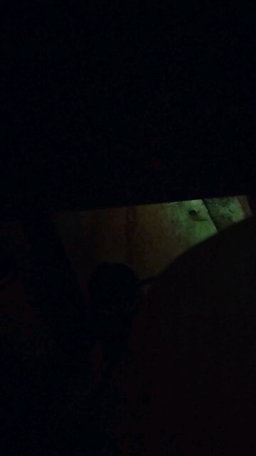 Your a mean one Mr Grinch. sung by Spoken For Quartet