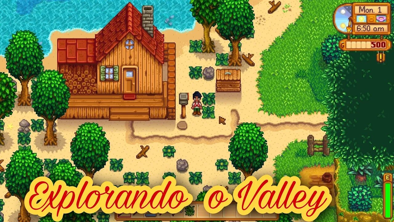Explorando o Valley #02