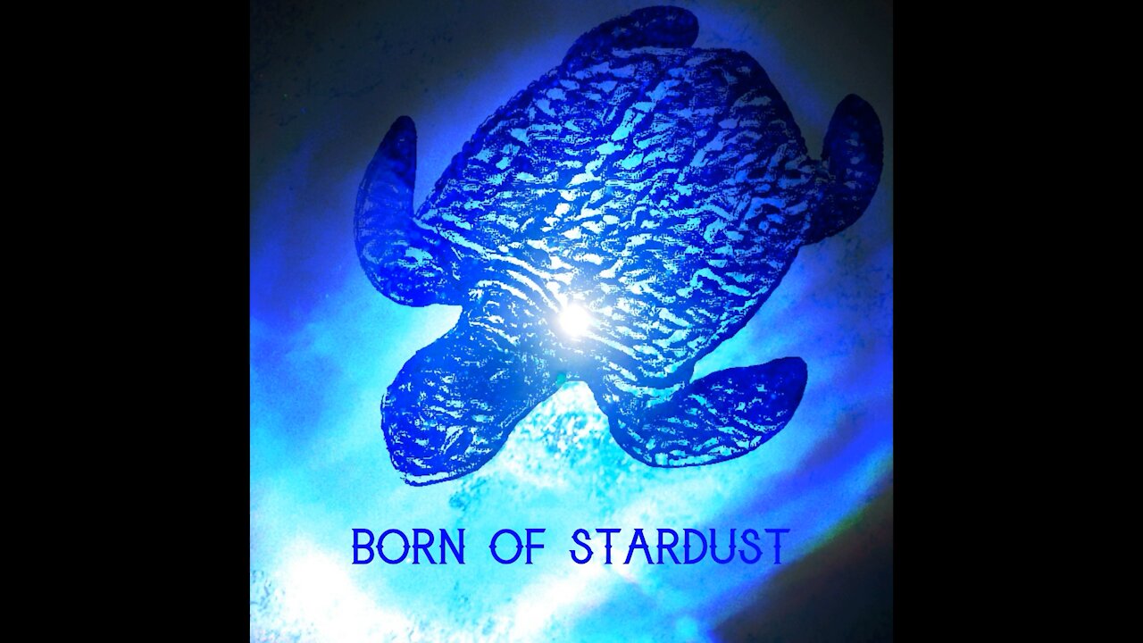 Born of Stardust