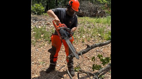 Stay Still Why Don’t you!? Husqvarna 545 50cc Professional Chainsaw