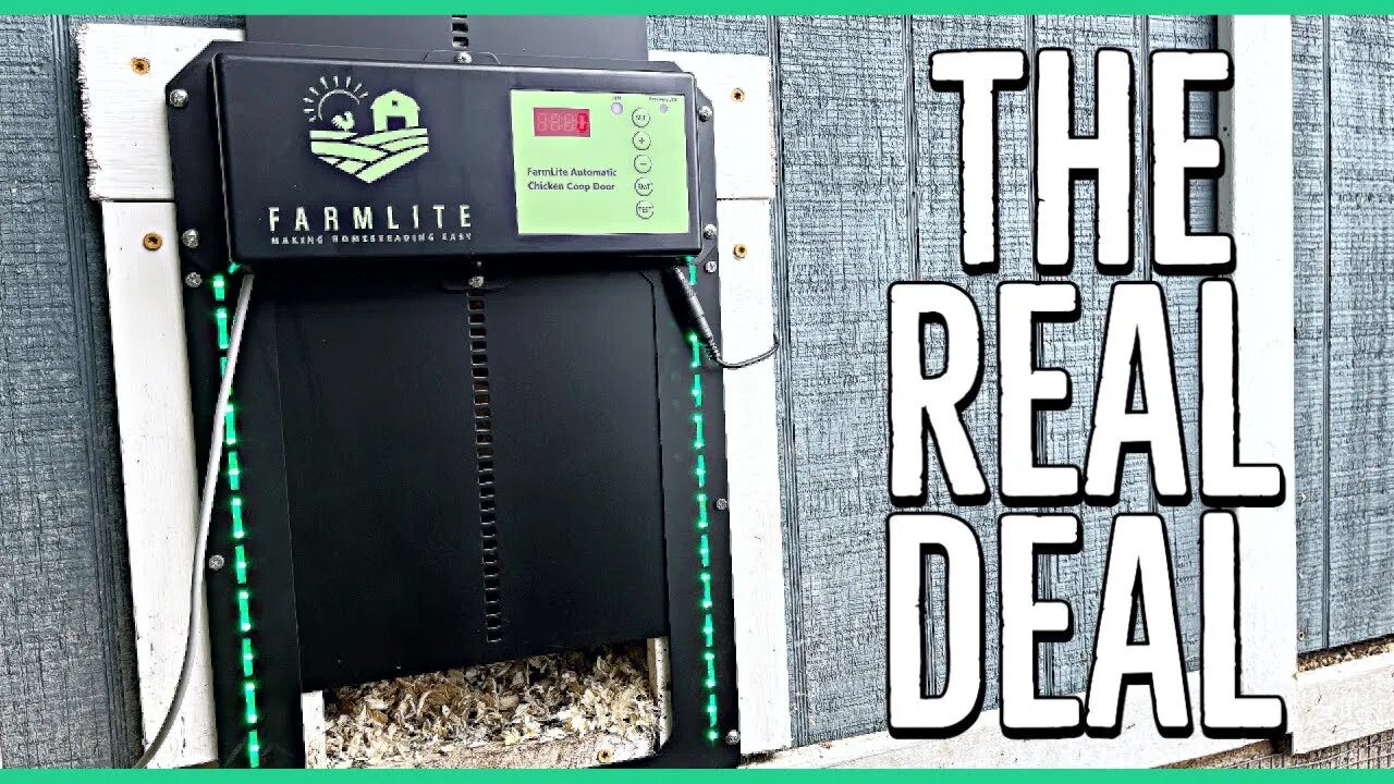 The Best Automatic Chicken Coop Door with Solar Setup ||Farmlite||