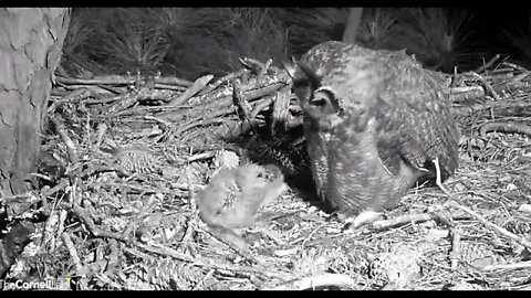 Mom's AM Leave and Return 🦉 3/2/22 05:59