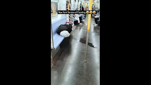 funny videos