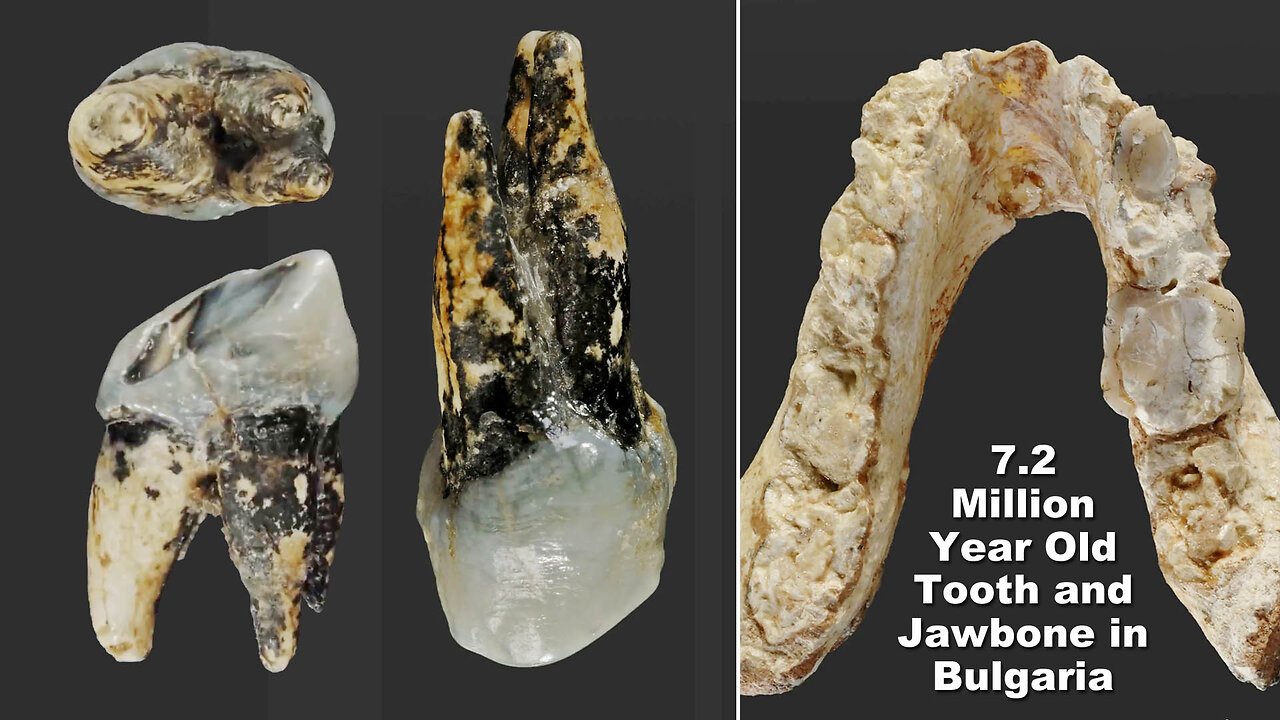 Human Origins: 'Out of Africa' Theory Debunked by 2 Separate Discoveries! 🌍🐵➡️👨=🐂💩