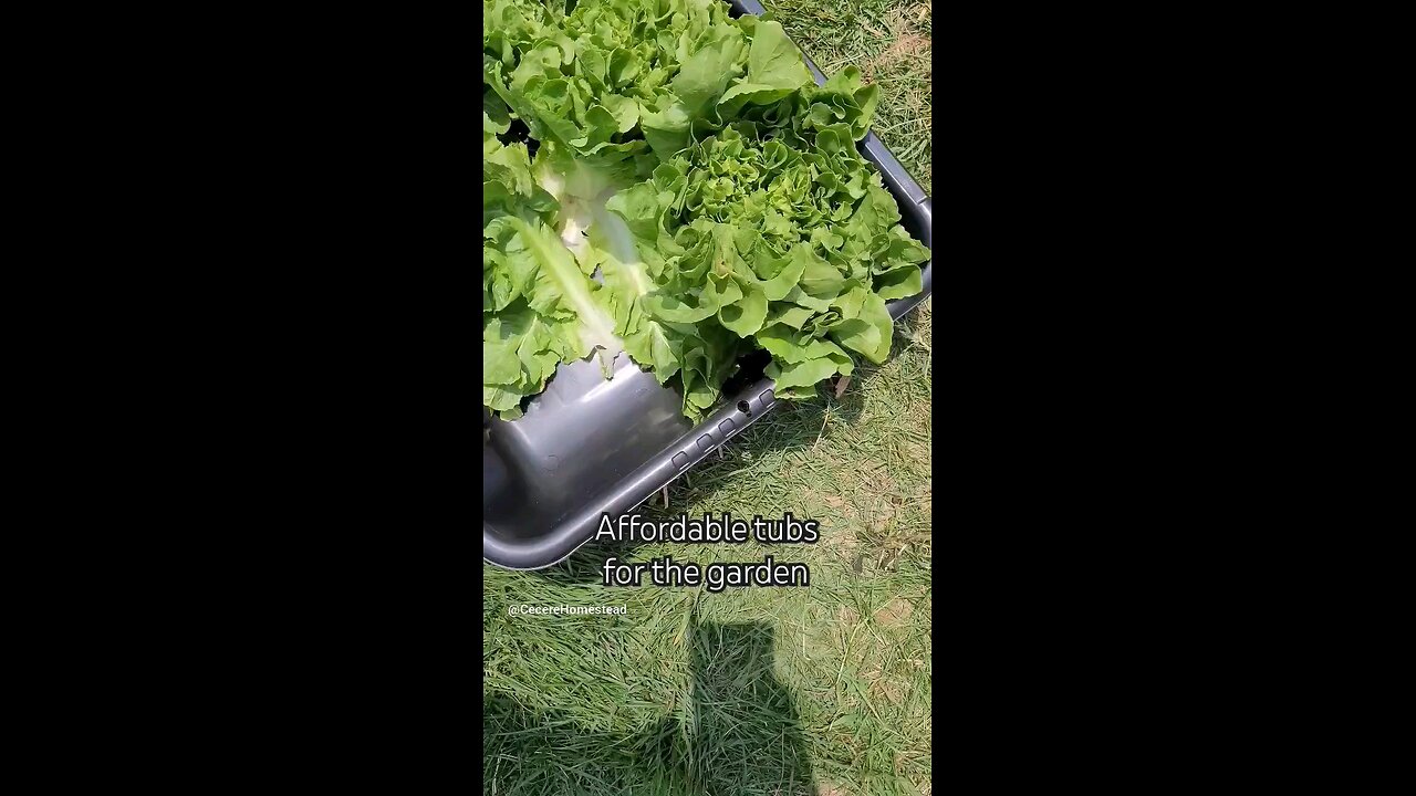 Garden Tubs