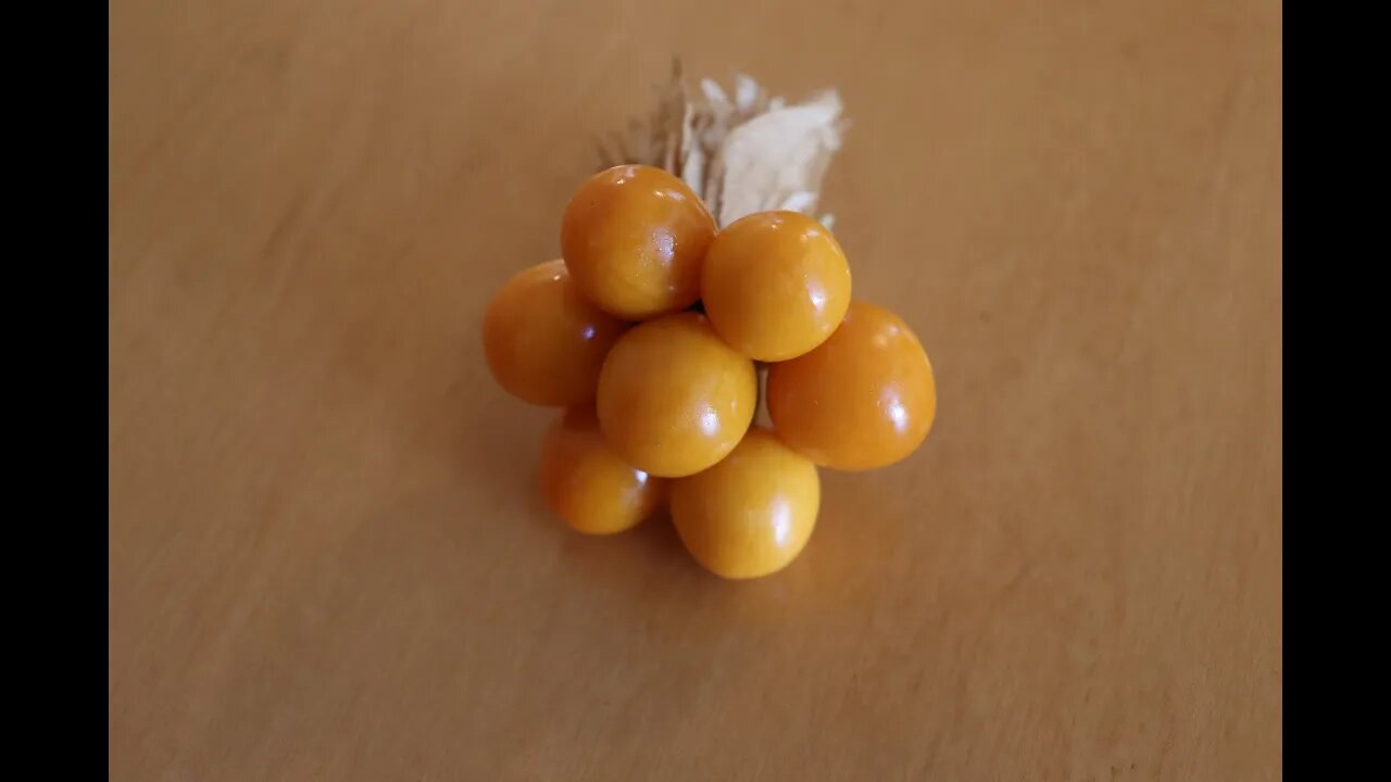 Growing Golden Berry from seeds