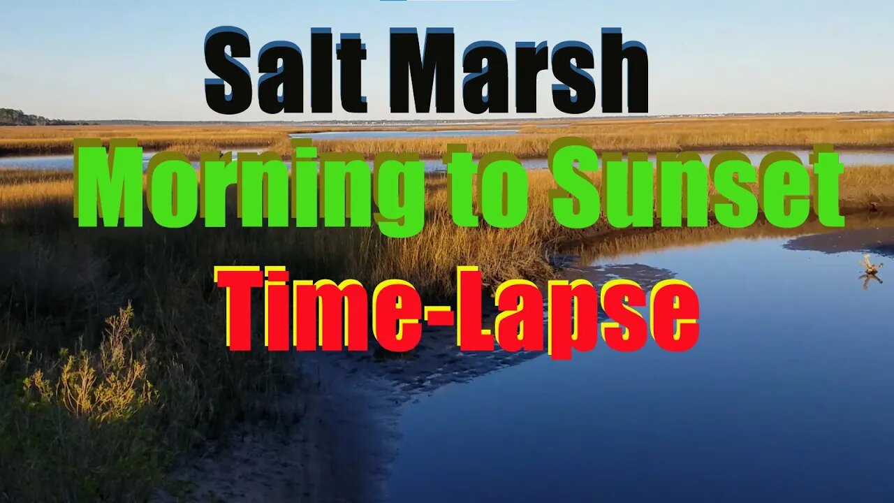 Salt Marsh Morning until Sunset Time-Lapse