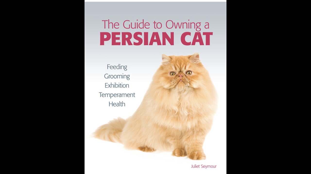 Persian 🐈