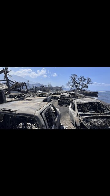 Why Lahaina Firestorm Victims Jumped in the Water. Microwaves Cook Heavy Metals in the Body