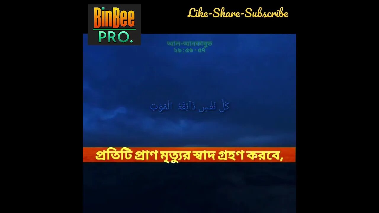 Kullu Nafsin... কুল্লু নাফসিন যাইকাতুল মউত _ Abdul Rahman Mossad (Face Mimicry) @BinBeeProductions