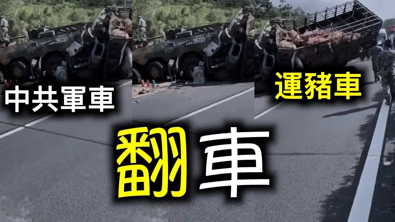 侮辱性極強！中共武統台灣的軍車讓豬給拱了；中共三段論定調，毛大、鄧二、習三……