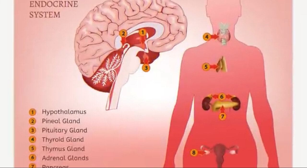 Hormones Out of Balance - This is Why! - Dr. Berg On Hormonal Imbalance