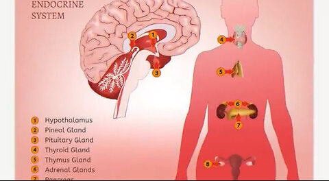 Hormones Out of Balance - This is Why! - Dr. Berg On Hormonal Imbalance