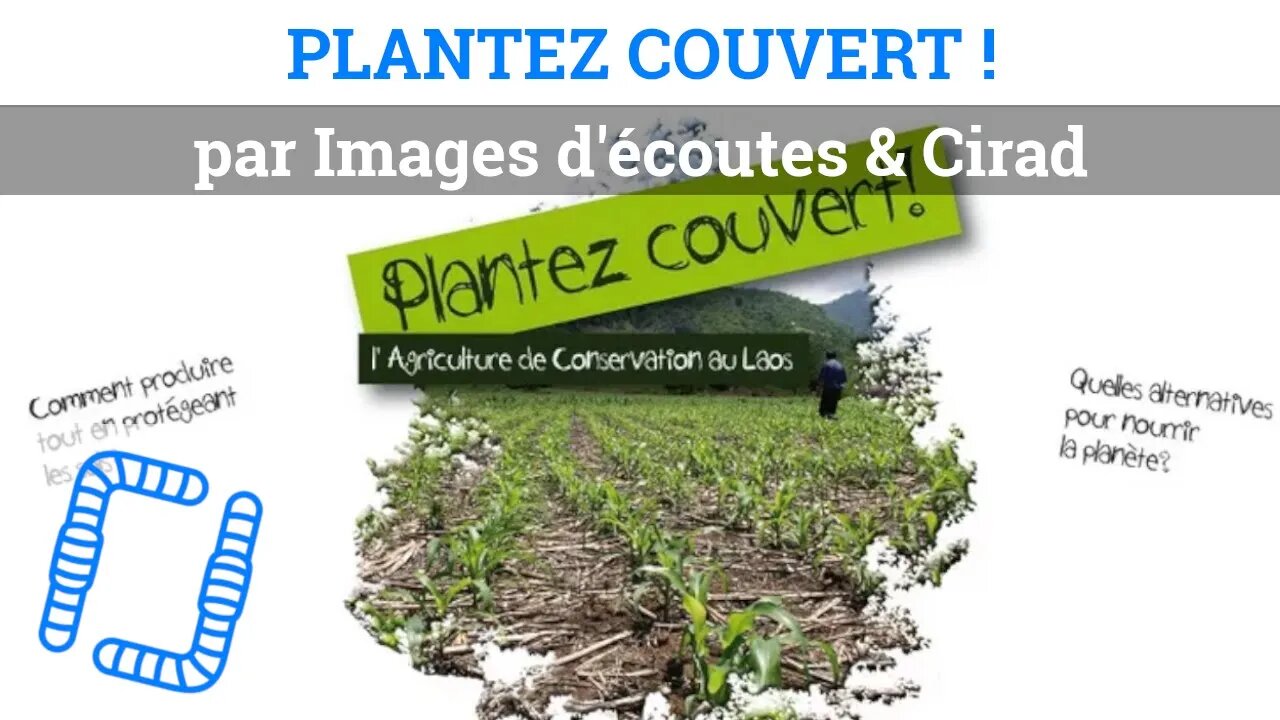 Plantez couvert ! 2 - Adoptez les SCV ?