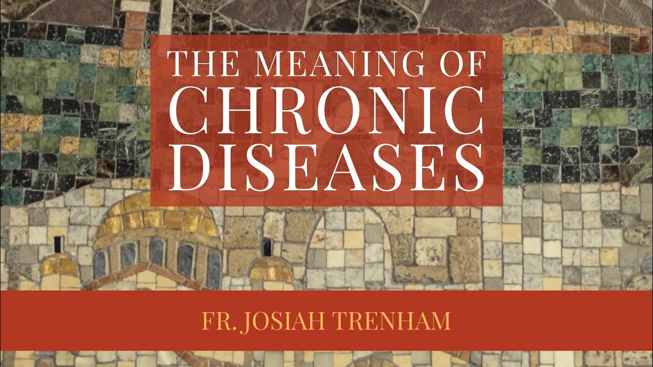 The Meaning of Chronic Diseases