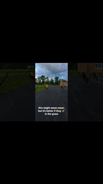 I have to admit, this was mildly entertaining at the time