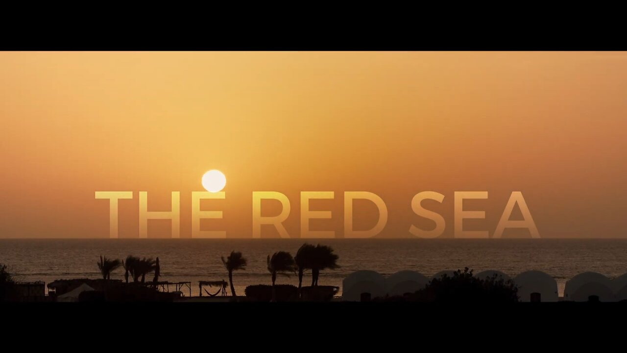 THE RED SEA (underwater view)