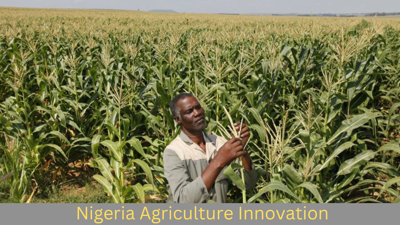 Nigeria Agriculture Innovation | Aljazeera English