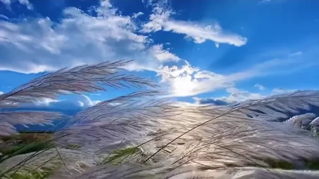 Our world is so amazing and full of imagination 16