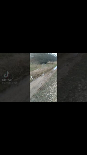 😄🚀🇺🇦🇷🇺🇷🇺