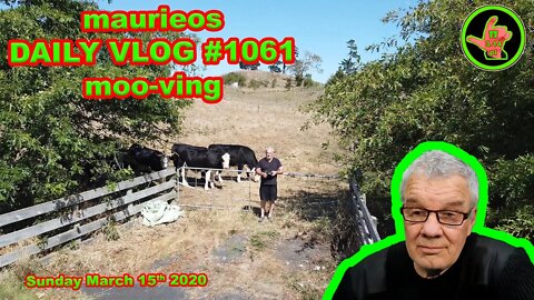maurieos DAILY VLOG #1061 moo-ving
