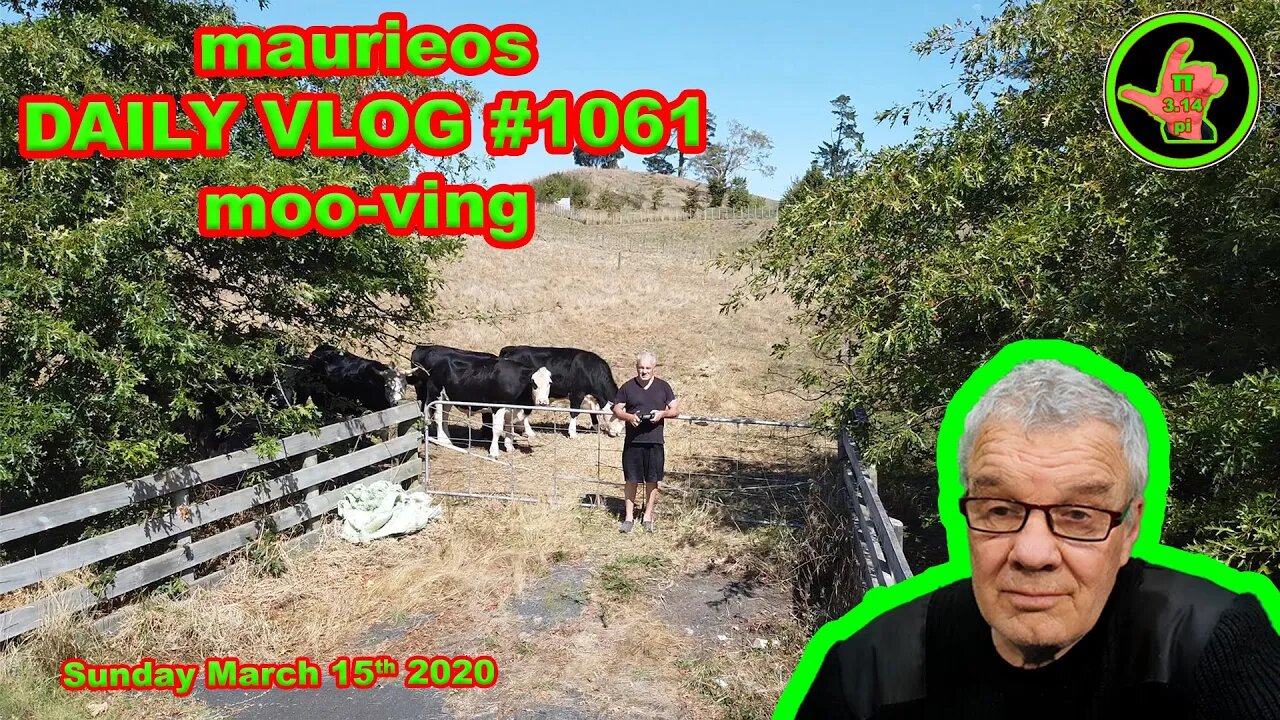 maurieos DAILY VLOG #1061 moo-ving
