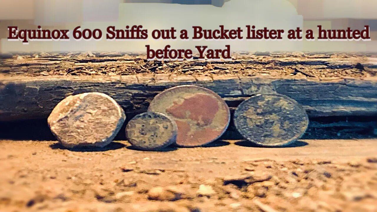 Metal Detecting at The Old Virginia Farm / Equinox 600 / Bucket Lister