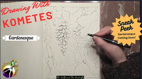 Can't wait for my Gardenesque coloring book? Get a sneak peek of my grapevine drawing now!