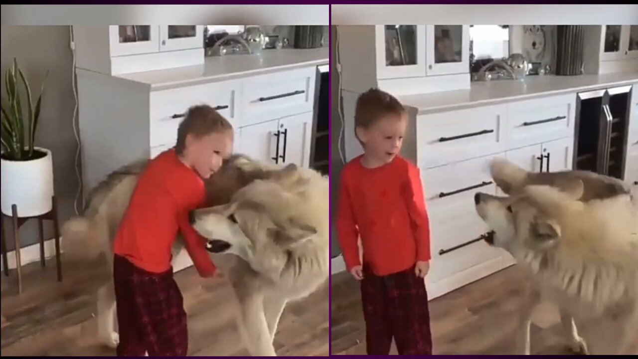 Dog enjoying | and singing with baby | #dog #funny #rumble