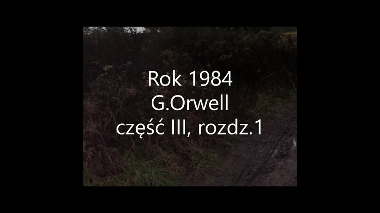 Rok 1984 -George Orwell część III, rozdz.1