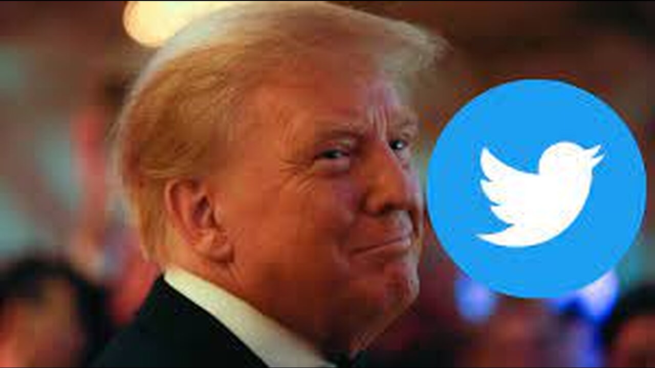 Donald Trump’s Twitter account reinstated