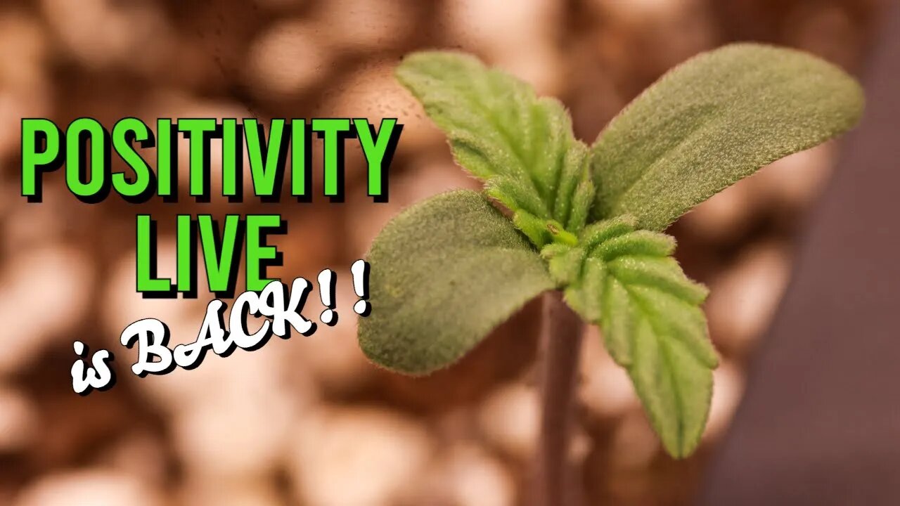 Positivity LIVE is BACK!!