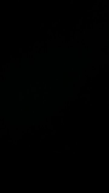 Won’t work so can’t eat