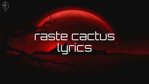 Raste - Cactus | lyrics video