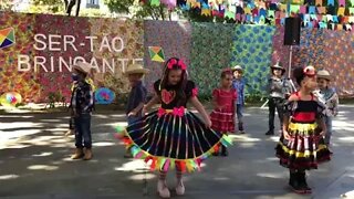 DANCEI MUITO NESSA FESTA INCRIVEL #dancinha #tiktok #quadrilha #escola #fy #festa #shorts