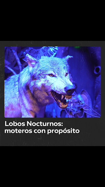 Motociclismo y patriotismo: la hermandad de los Lobos Nocturnos