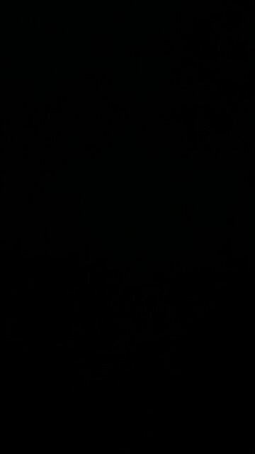 Donald Trump’s road trip