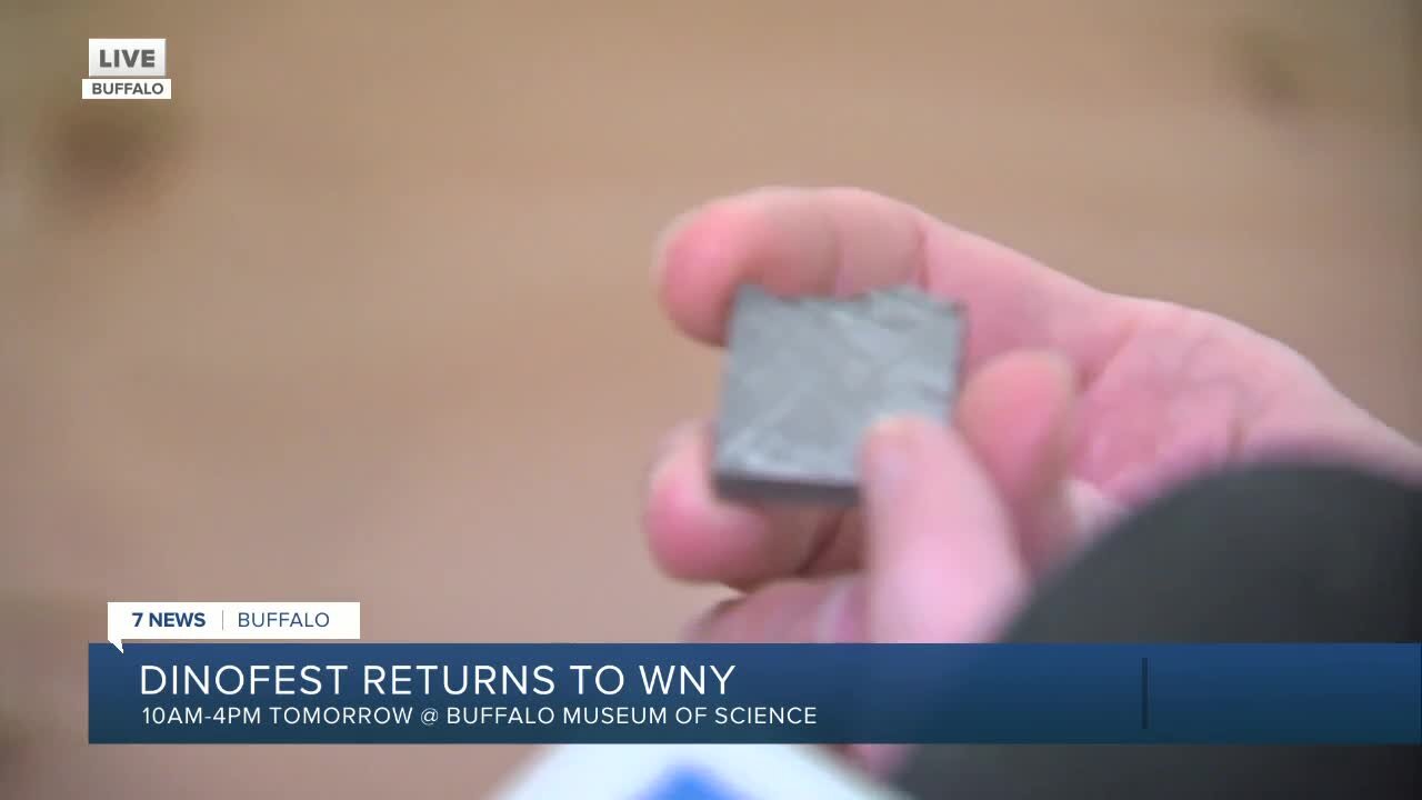 DinoFEST 4