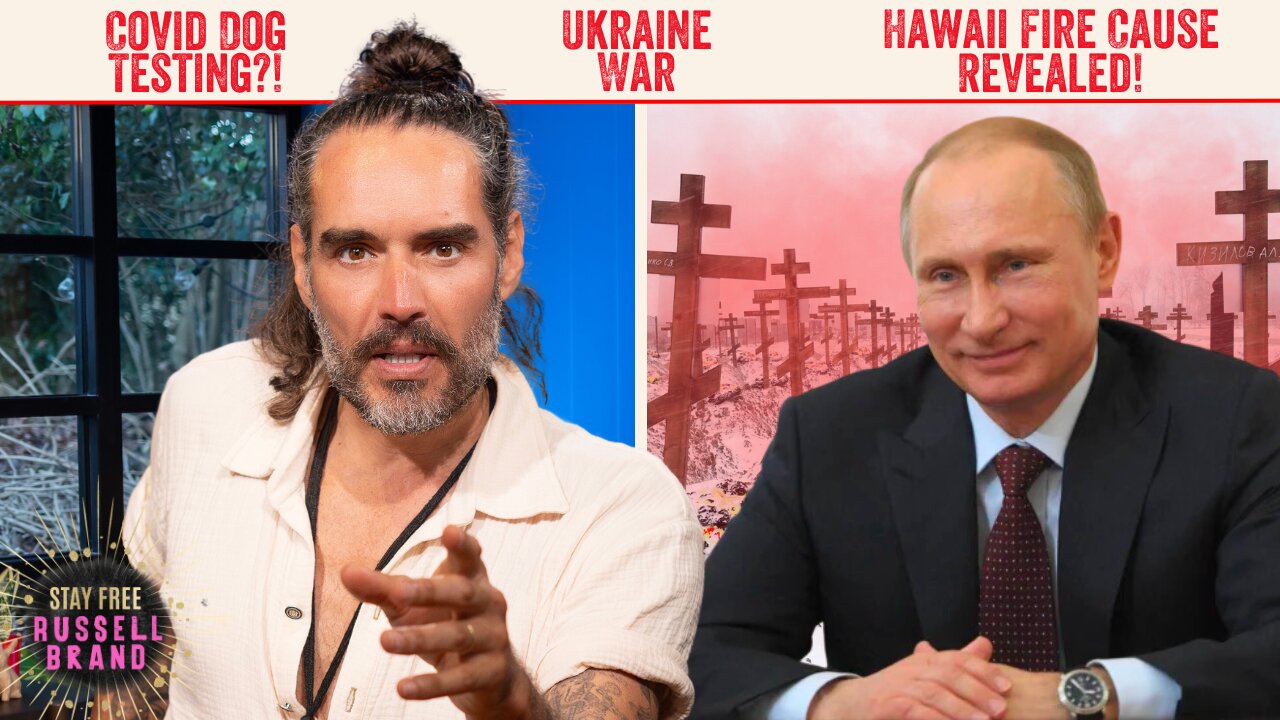 “They’re Sending Us Here To DIE” - Ukraine Soldiers BLAST NATO - Stay Free #197