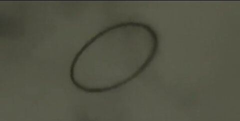 Black Ring Spotted Floating Over Disneyland In California