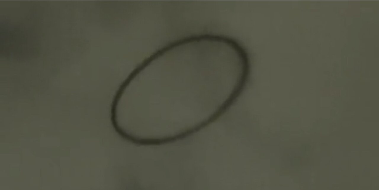 Black Ring Spotted Floating Over Disneyland In California