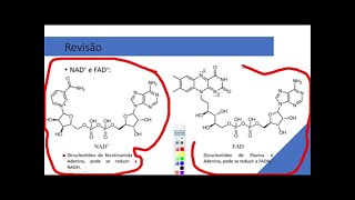 AULA 3 BIOQUÍMICA CLÍNICA