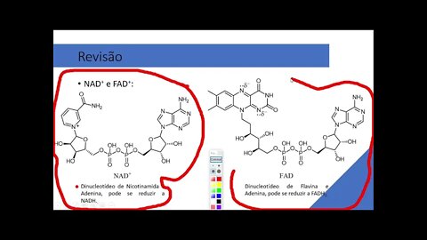 AULA 3 BIOQUÍMICA CLÍNICA