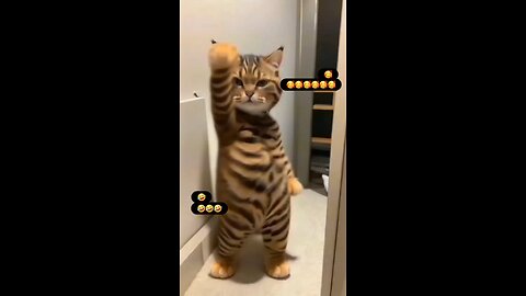 Apne diwane ka karde bura haal akhiyon se goli maare #funny #cute #fun #viral #funnyanimal #shorts