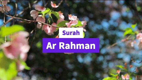 Beautiful Sarah Ar Rahman Recitation (Tilawat)