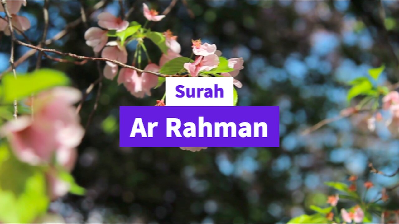 Beautiful Sarah Ar Rahman Recitation (Tilawat)