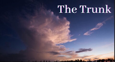 The Trunk