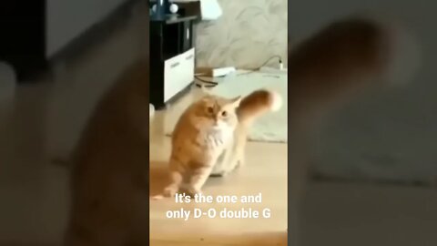 MEME is the one and only D-O double G #shorts