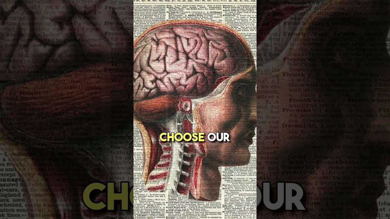 It is dumb to think that you fully control your destiny #noamchomsky #selfimprovement #education