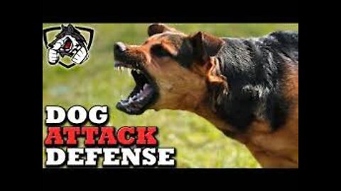 How to defend against a dog on an emergency. Self defense against dog attack!